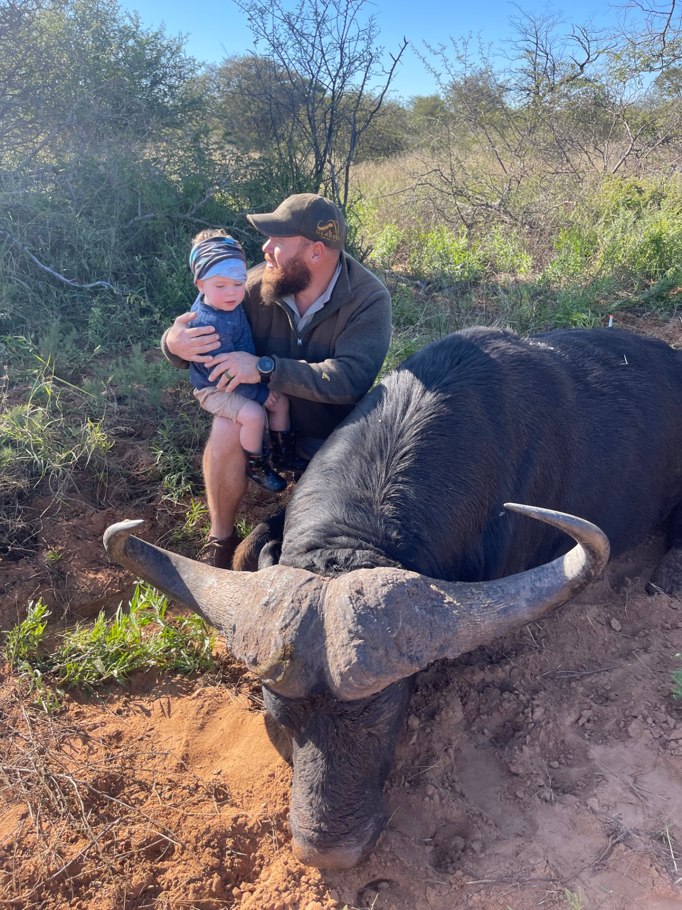 Cape buffalo bull recovered after a fair-chase hunt at Marula