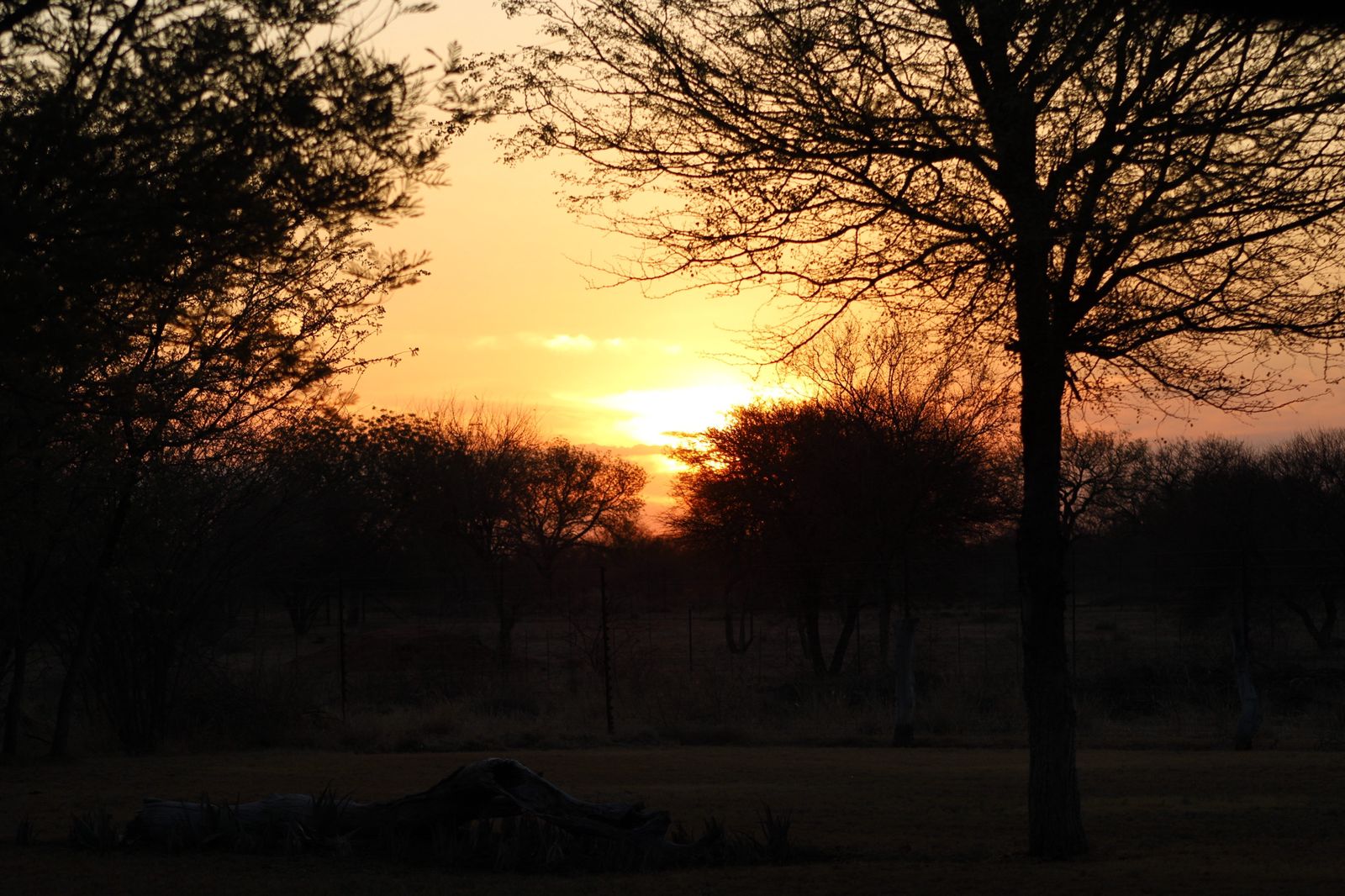 Notes from the Bushveld