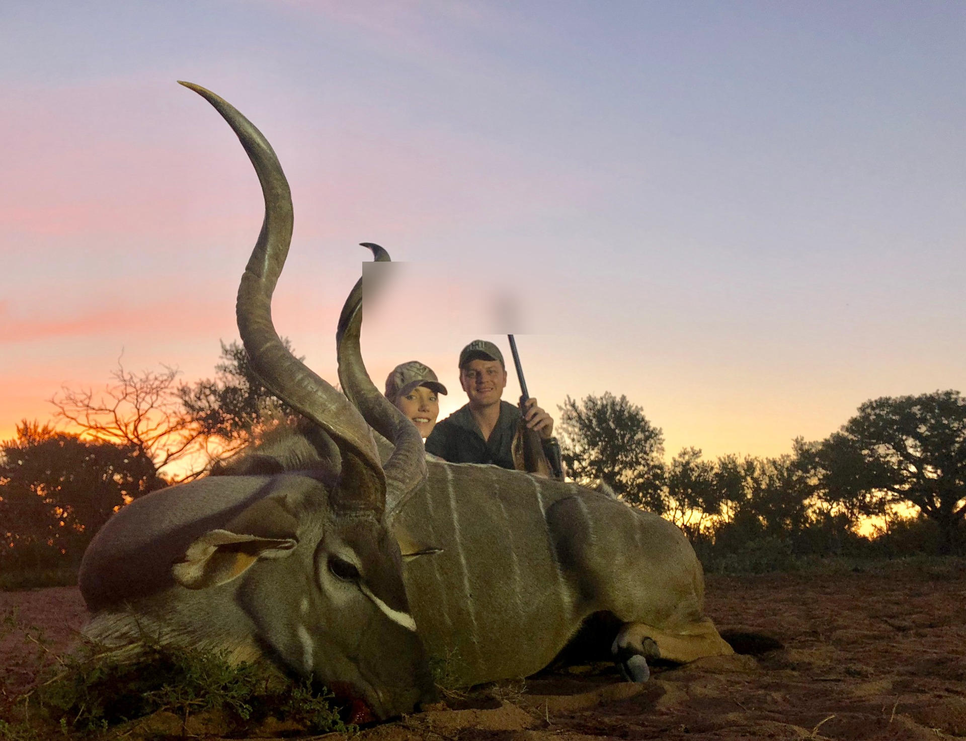 Greater kudu bull at sunset with guest faces blurred for privacy