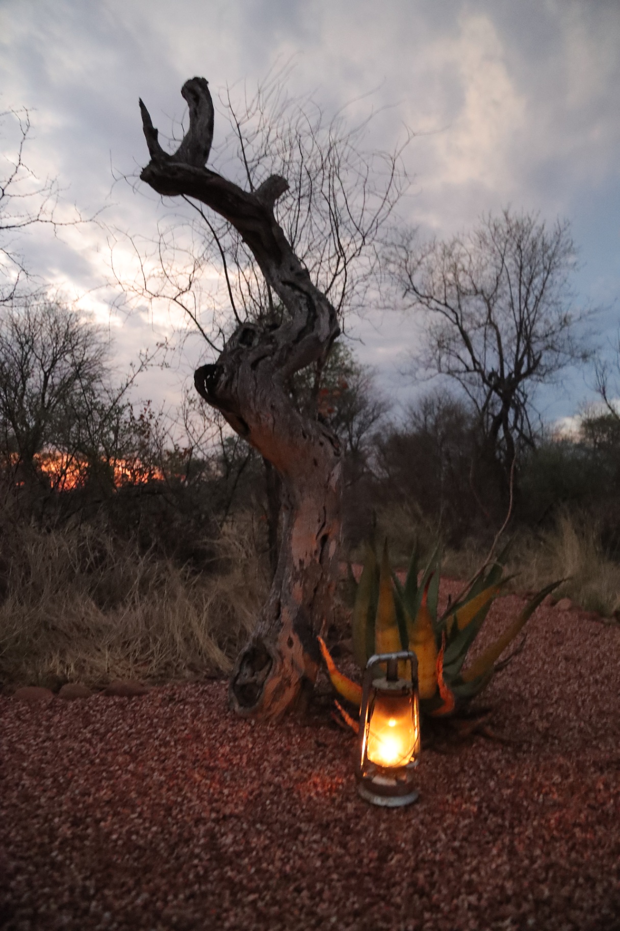 Tent Camp 5