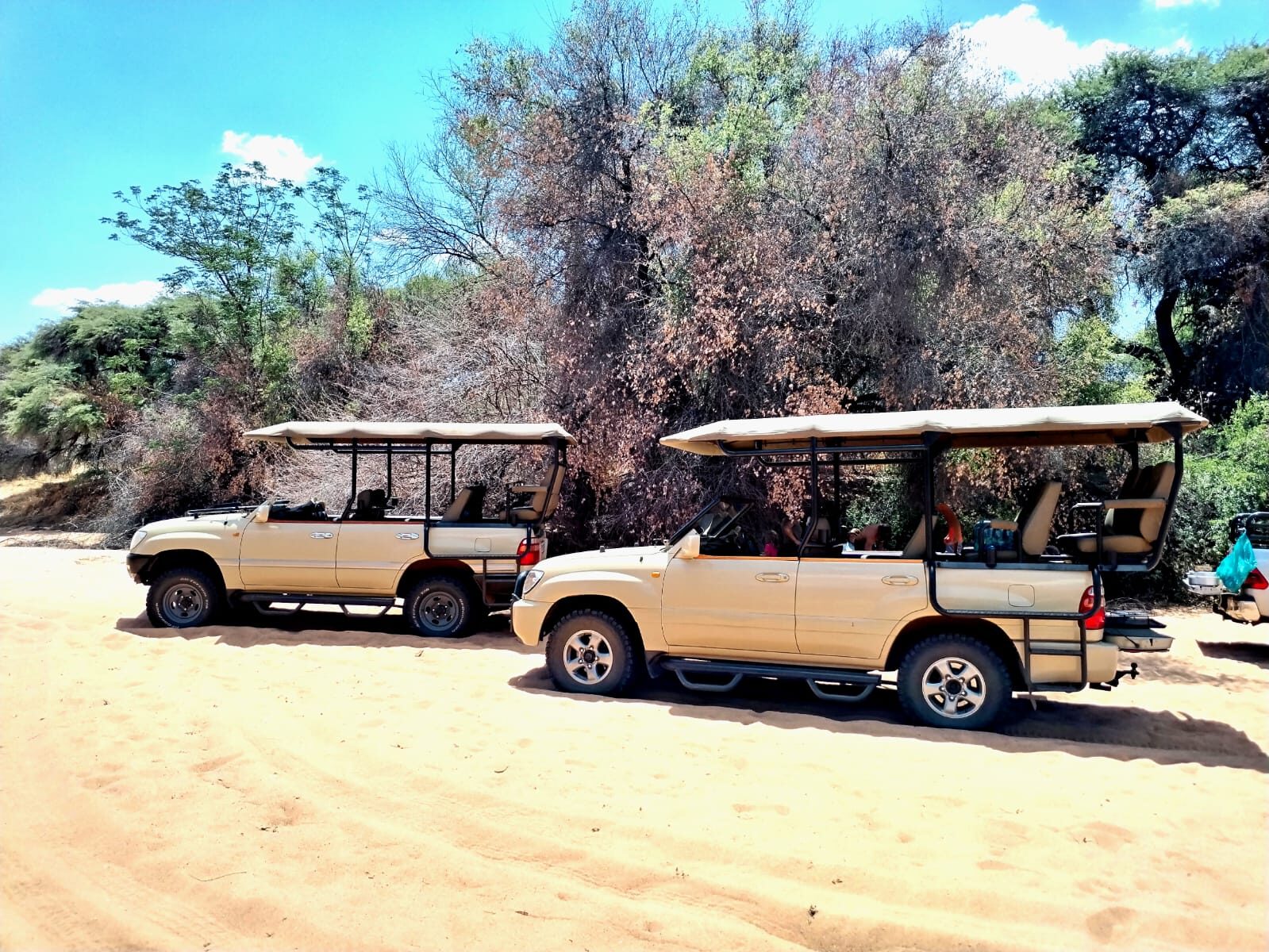 Marula Game reserve — wildlife and landscape