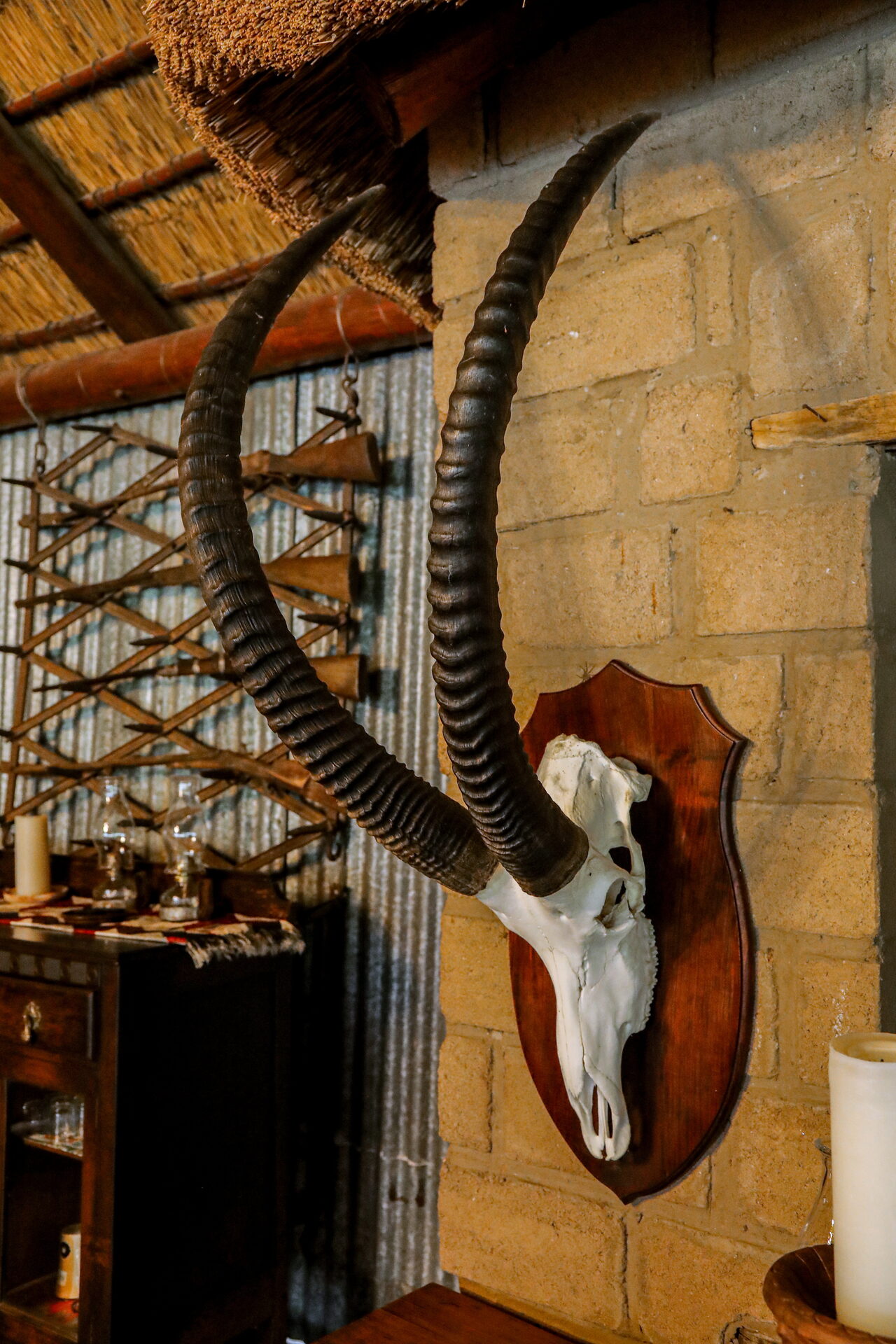 Marula Game reserve — wildlife and landscape
