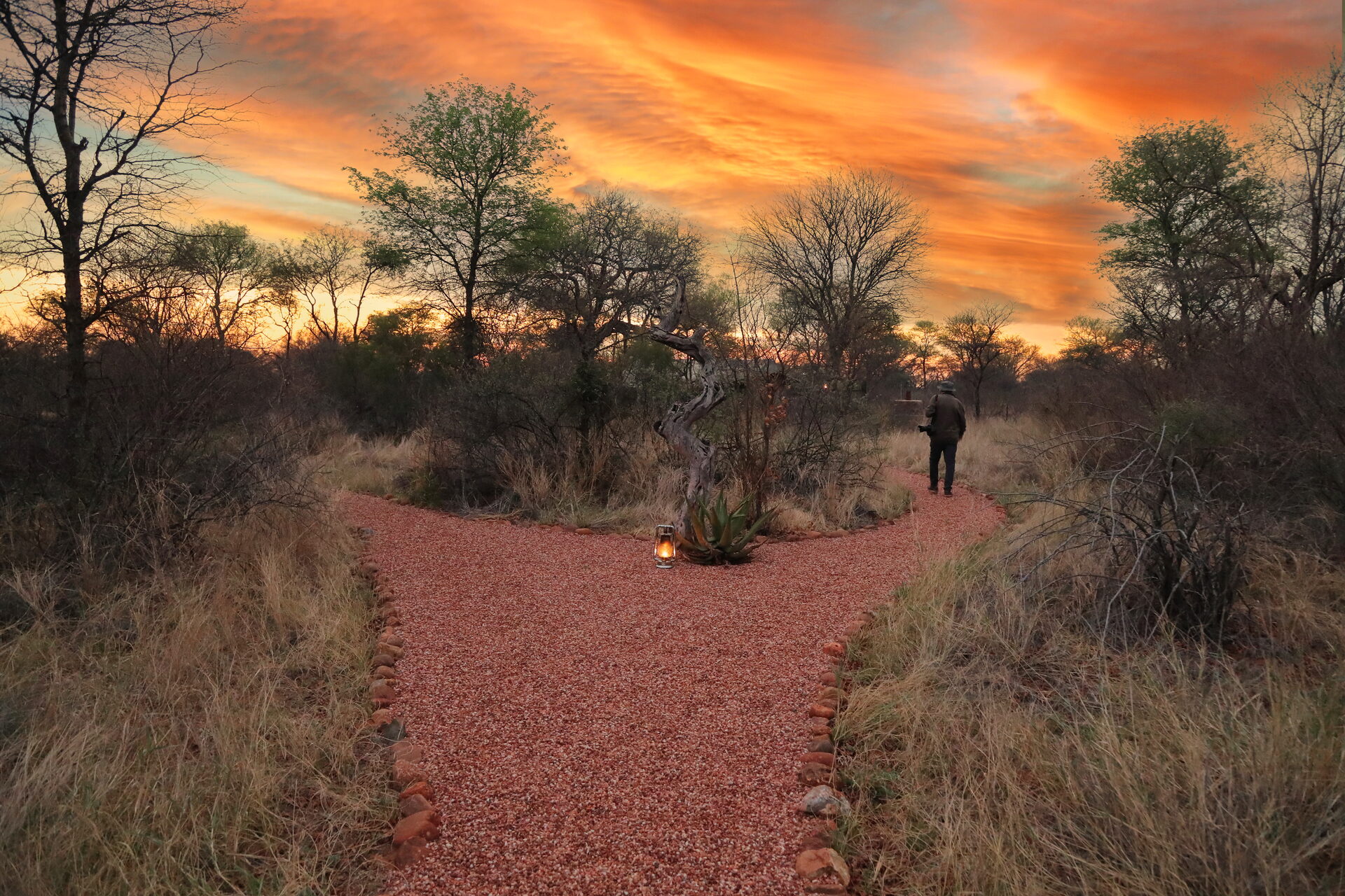 Marula Game reserve — wildlife and landscape
