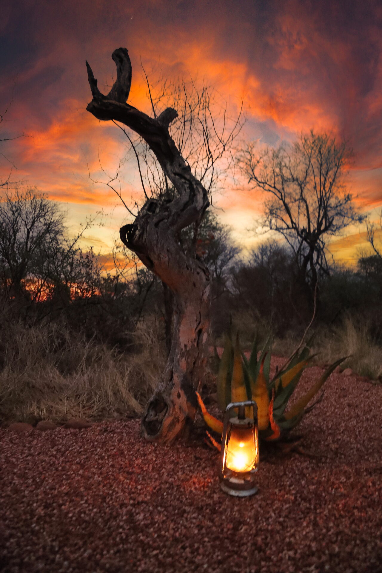 Marula Game reserve — wildlife and landscape