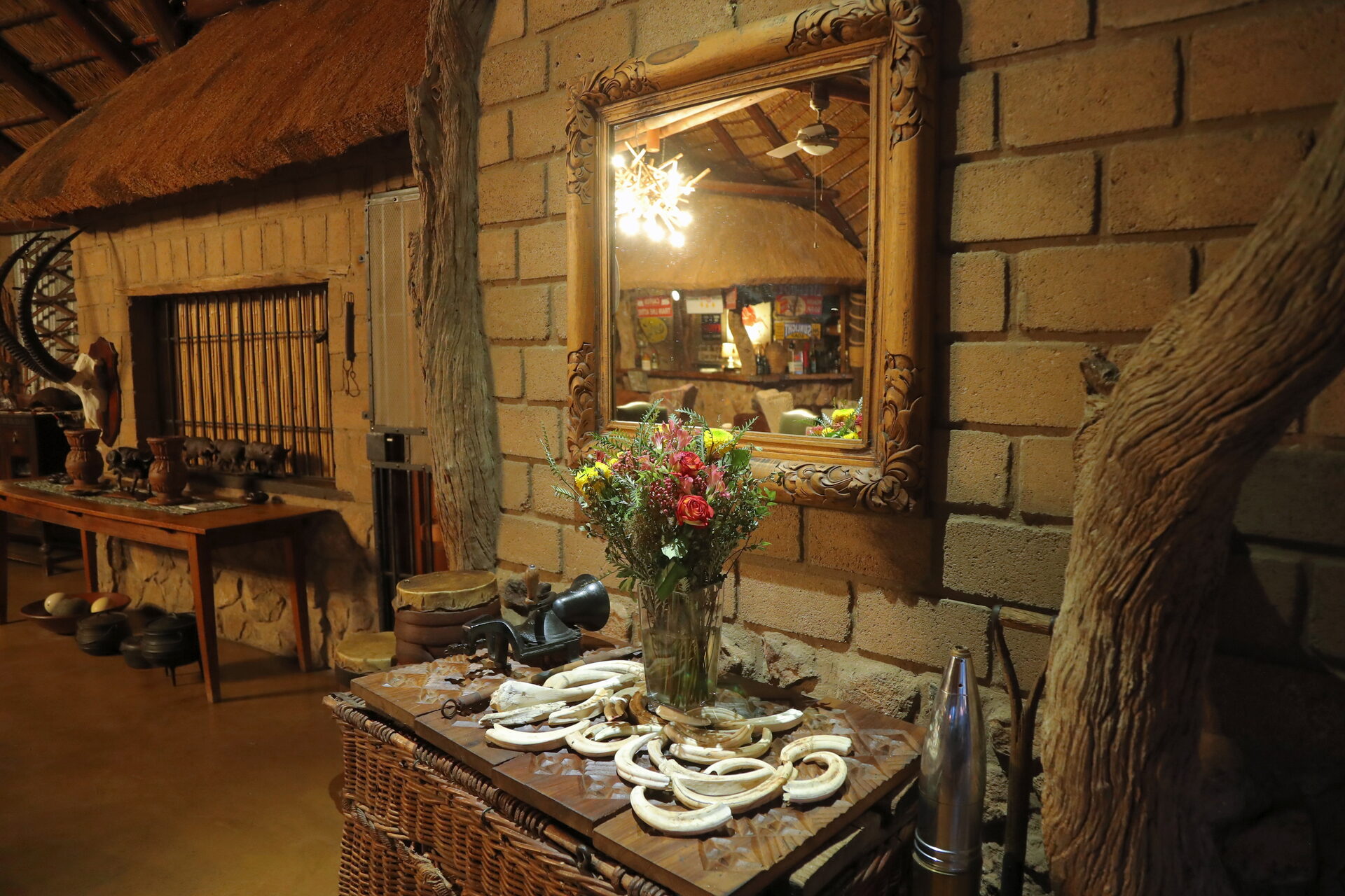 Marula Game reserve — wildlife and landscape
