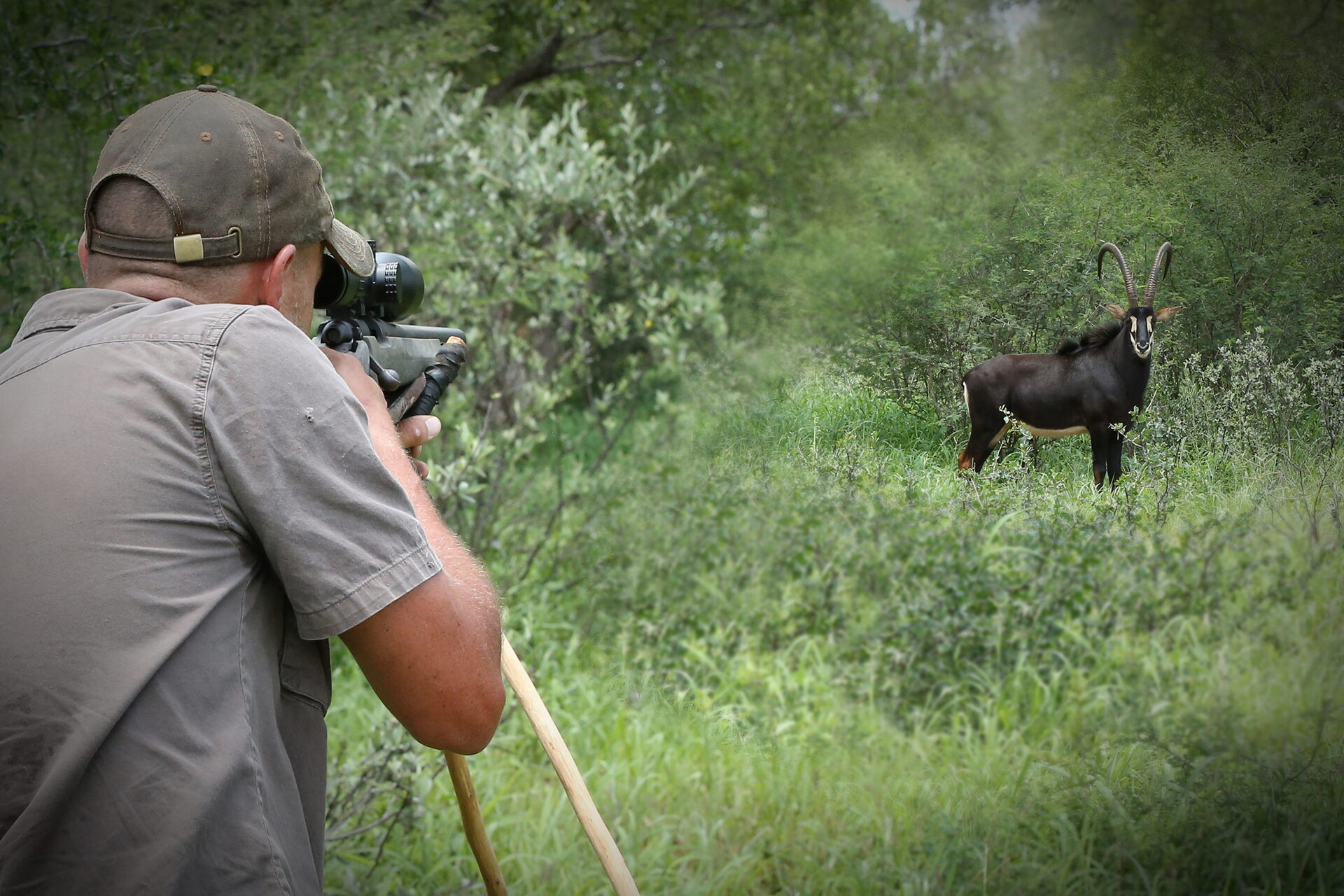 Marula Game reserve — wildlife and landscape
