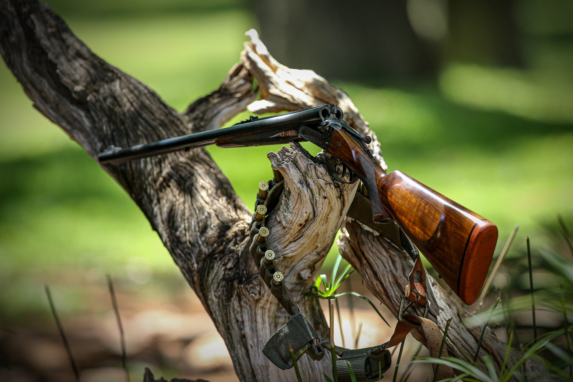 Marula Game reserve — wildlife and landscape