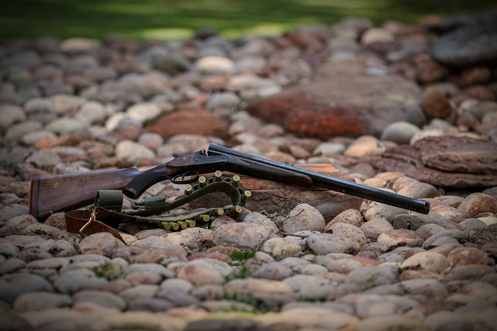 Marula Game reserve — wildlife and landscape