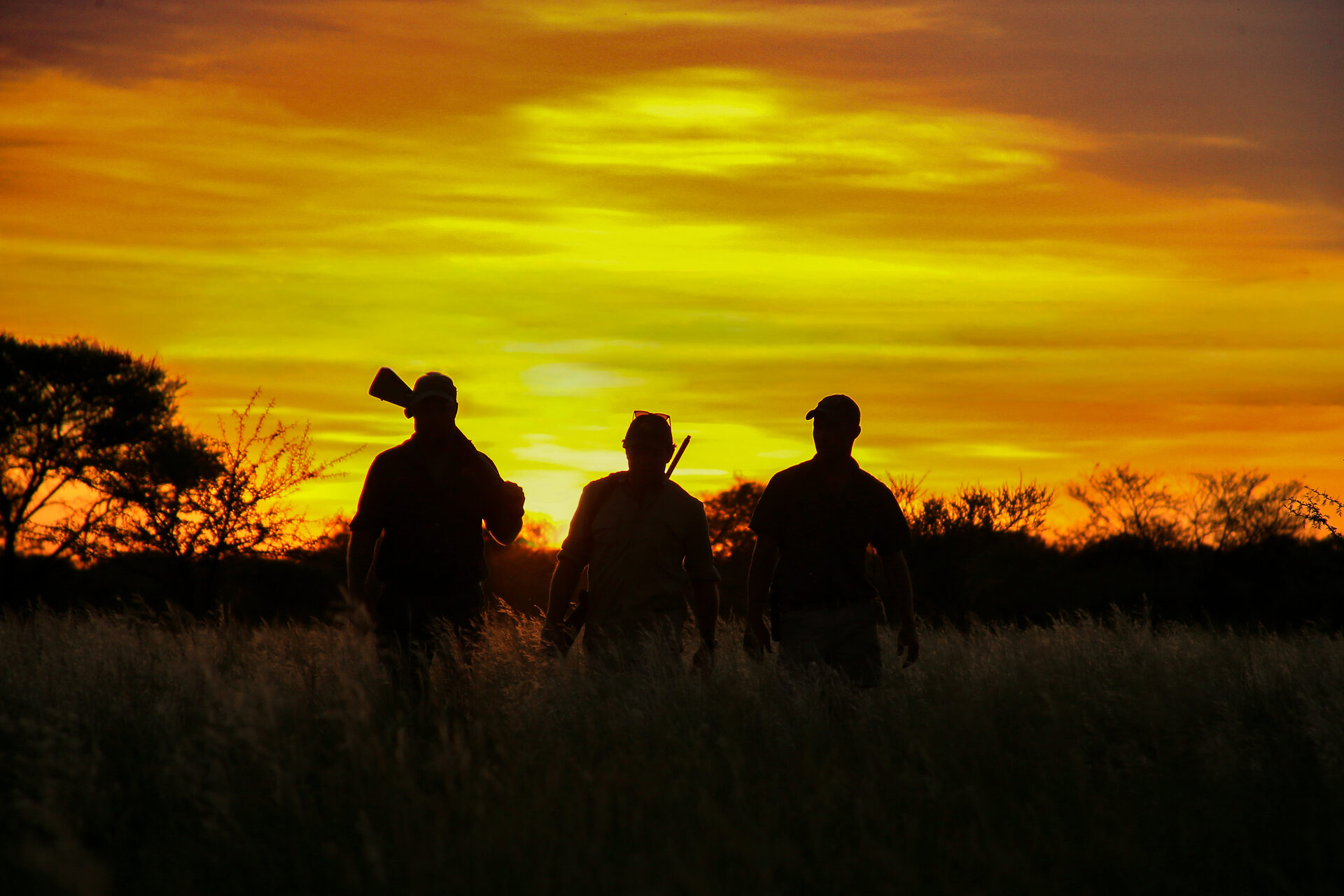 Marula Game reserve — wildlife and landscape