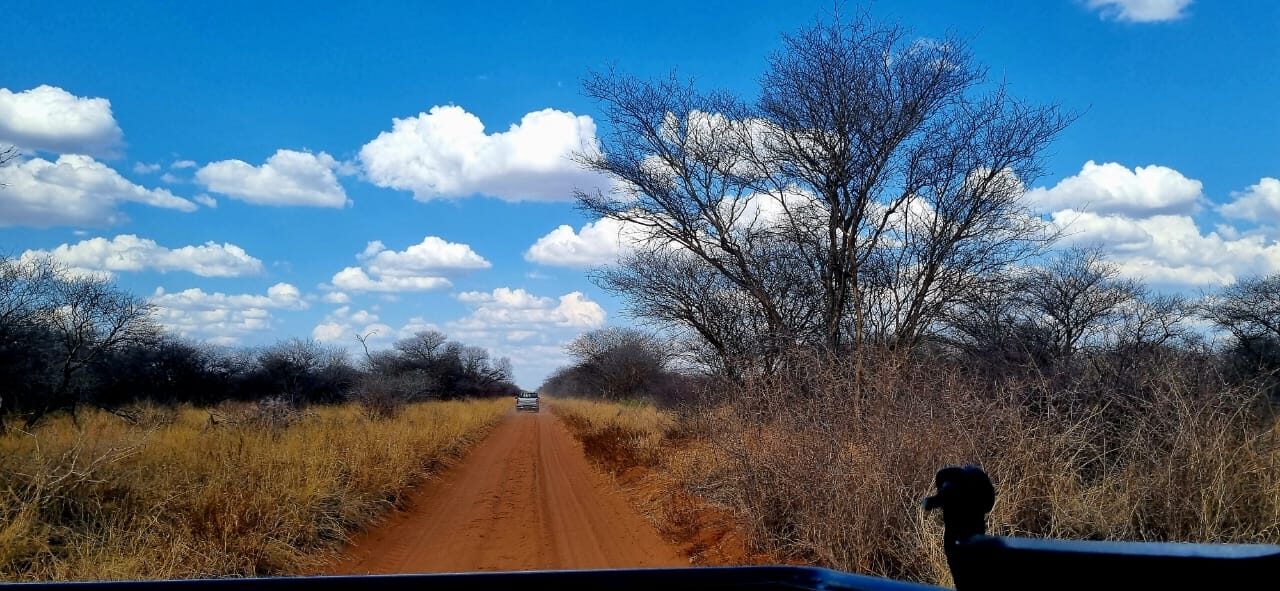 Marula Game reserve — wildlife and landscape