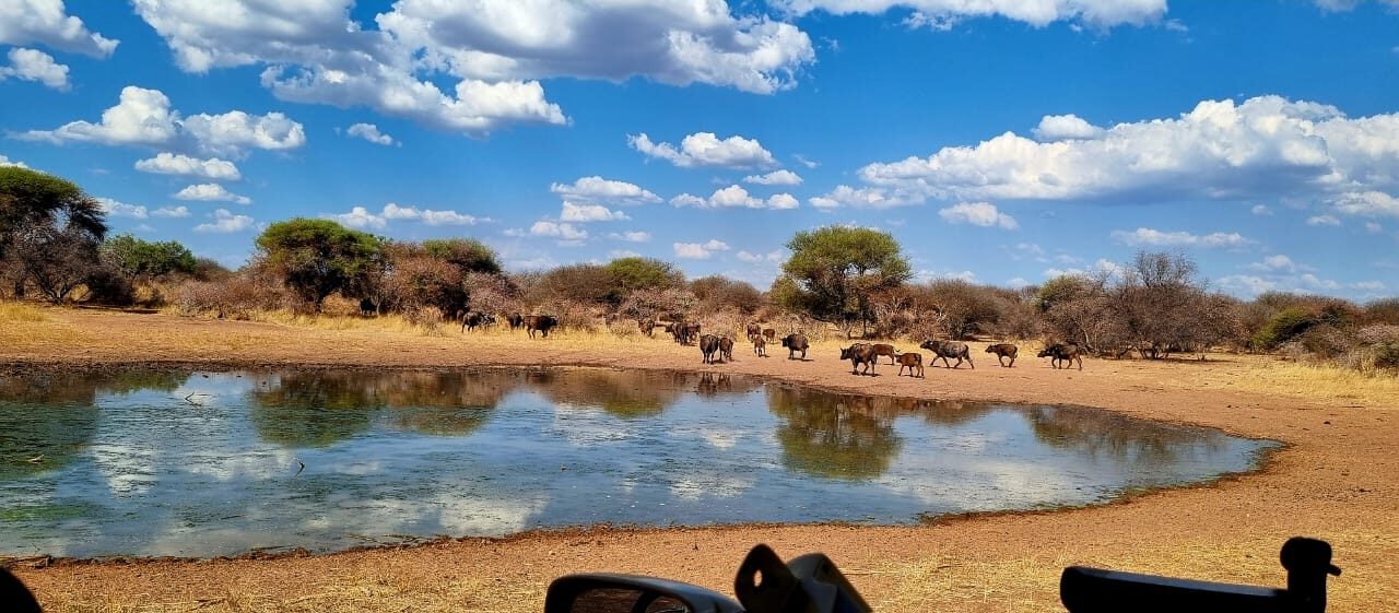 Marula Game reserve — wildlife and landscape