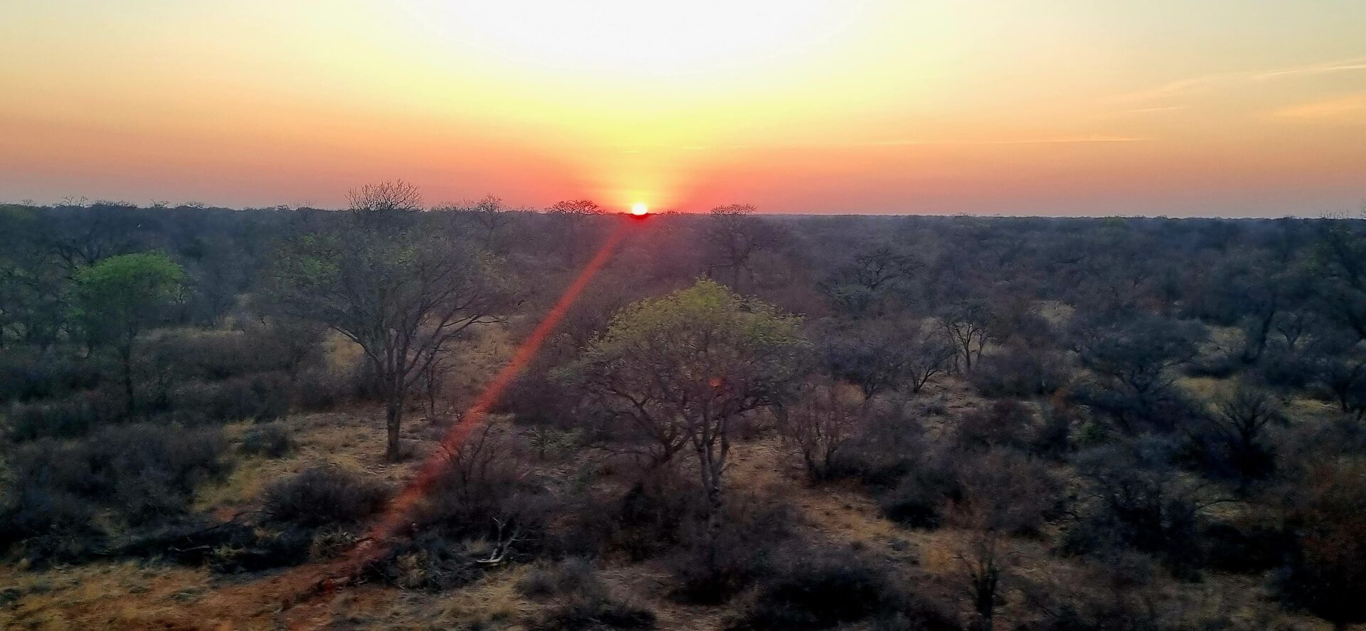 Marula Game reserve — wildlife and landscape