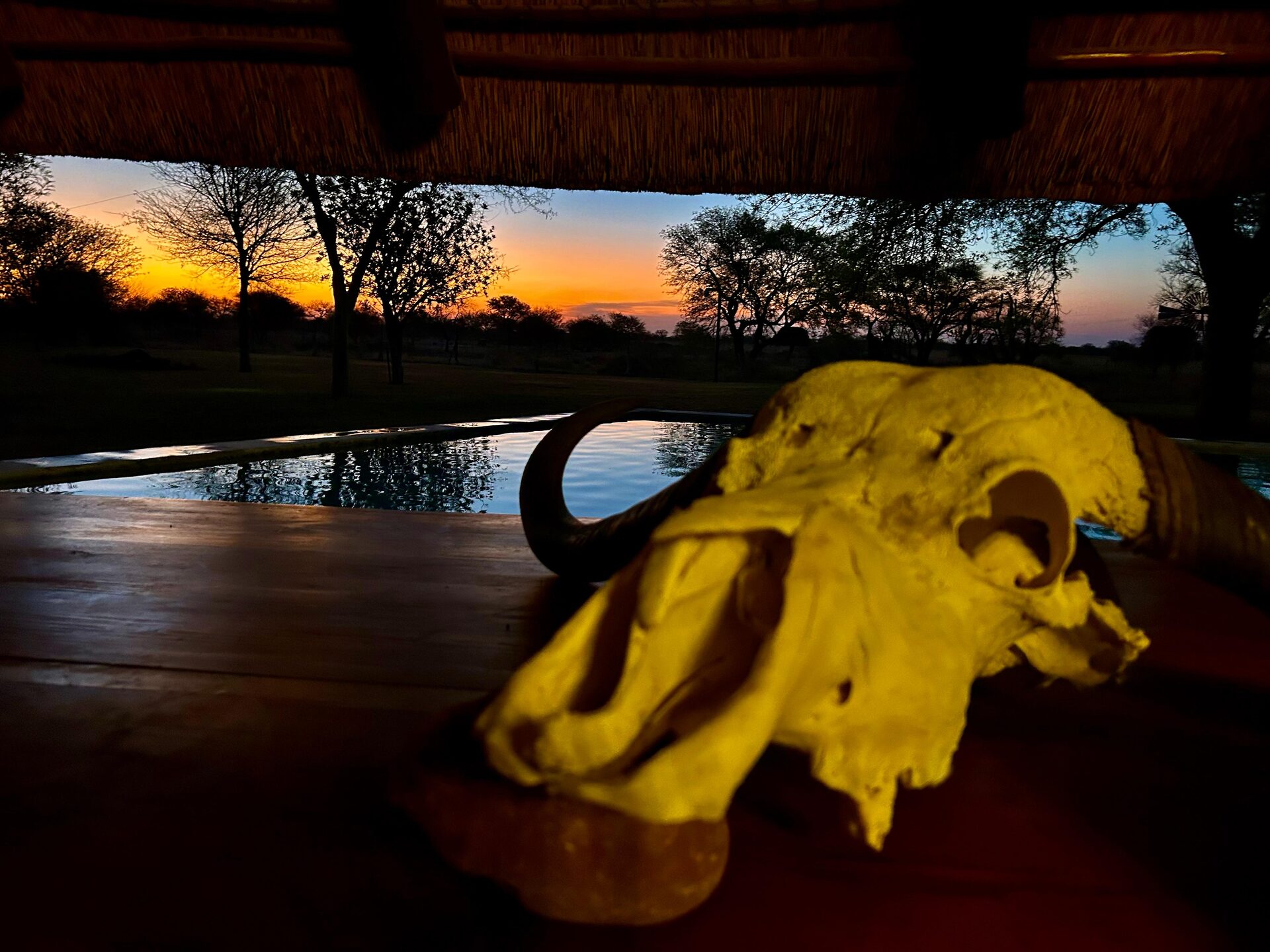 Marula Game reserve — wildlife and landscape