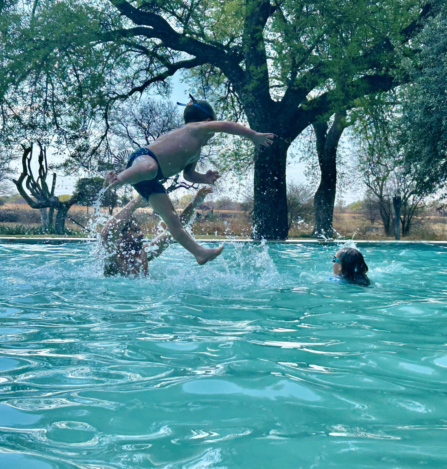 Marula Game reserve — wildlife and landscape