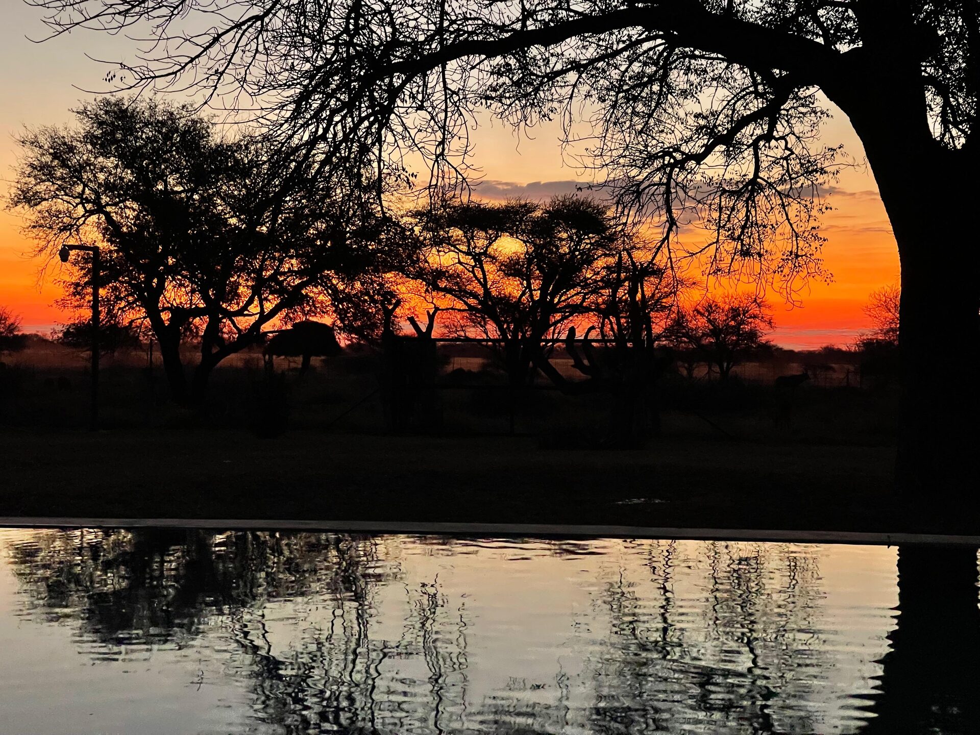 Marula Game reserve — wildlife and landscape