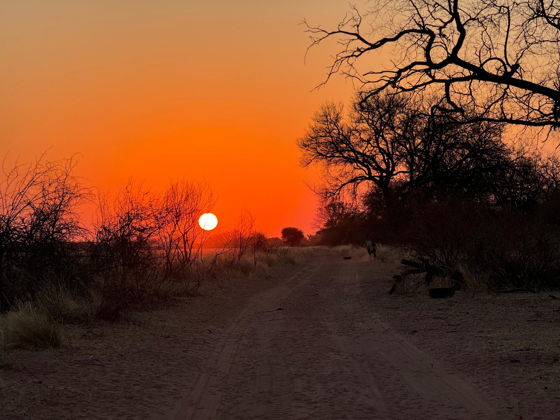 Marula Game reserve — wildlife and landscape