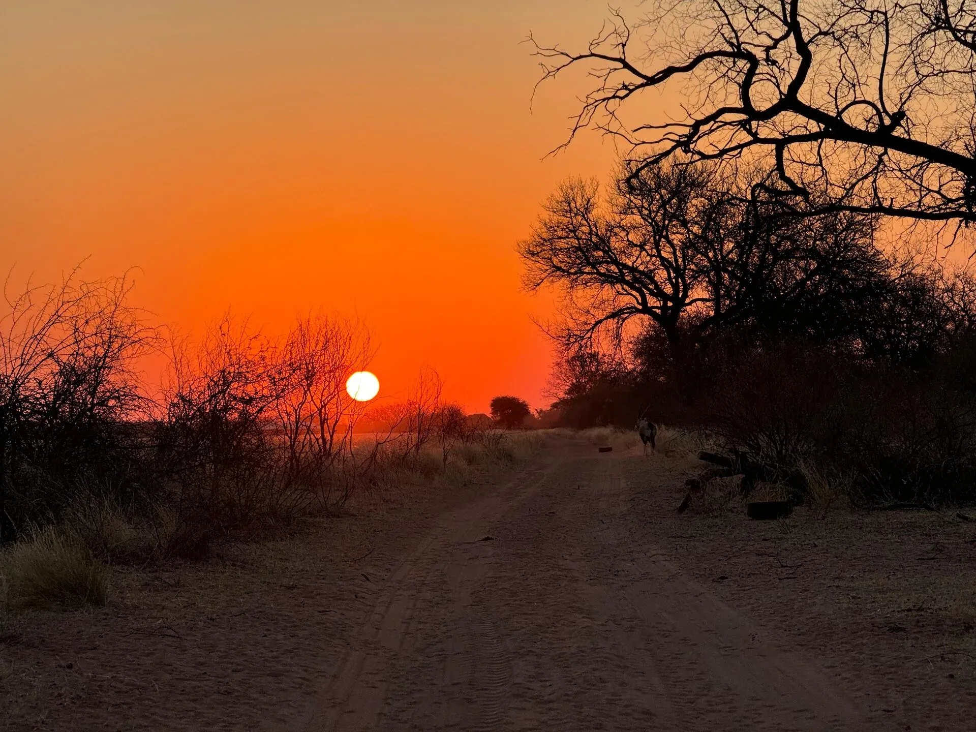 Marula Game reserve — wildlife and landscape