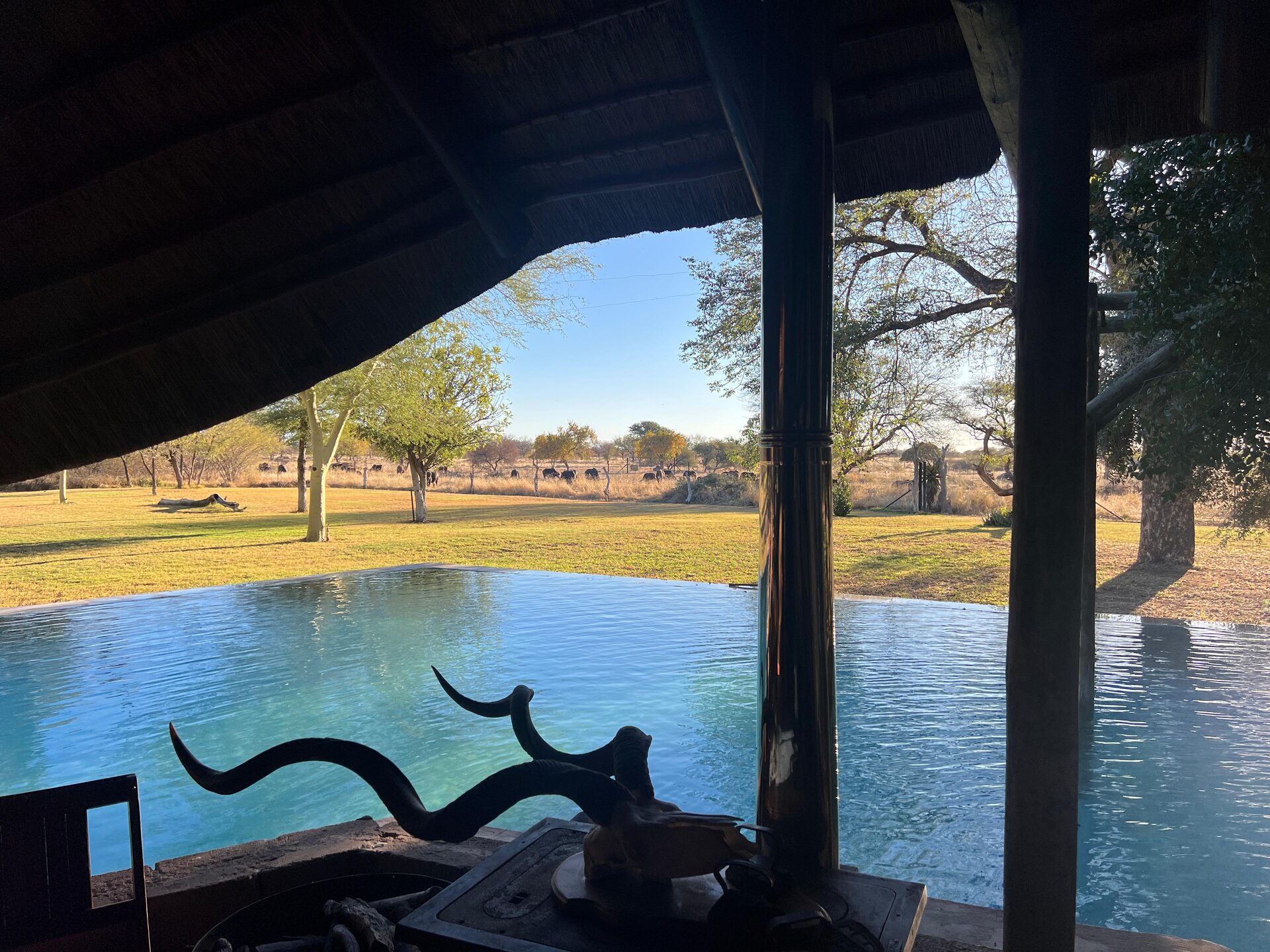 Marula Game reserve — wildlife and landscape