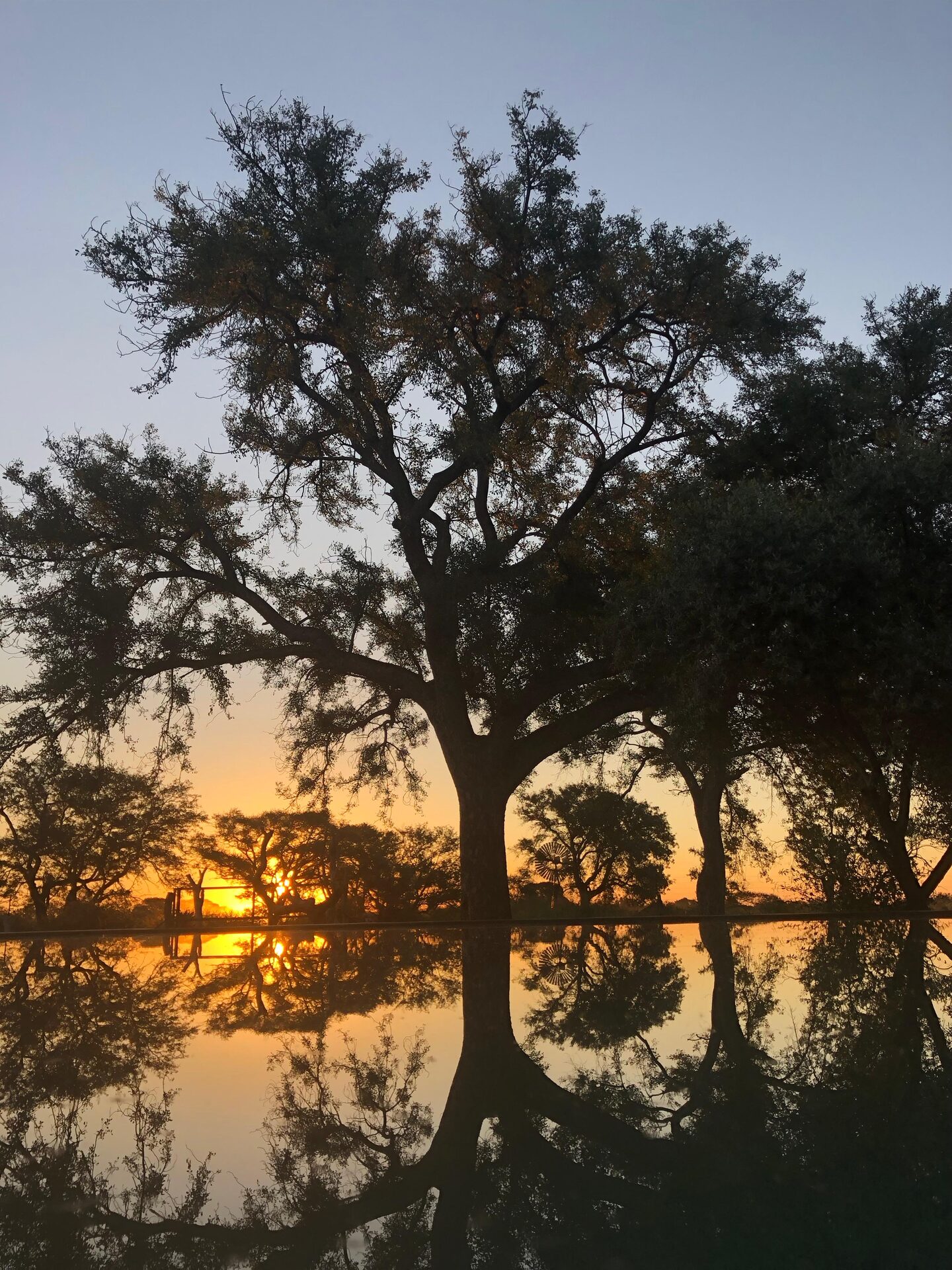 Marula Game reserve — wildlife and landscape