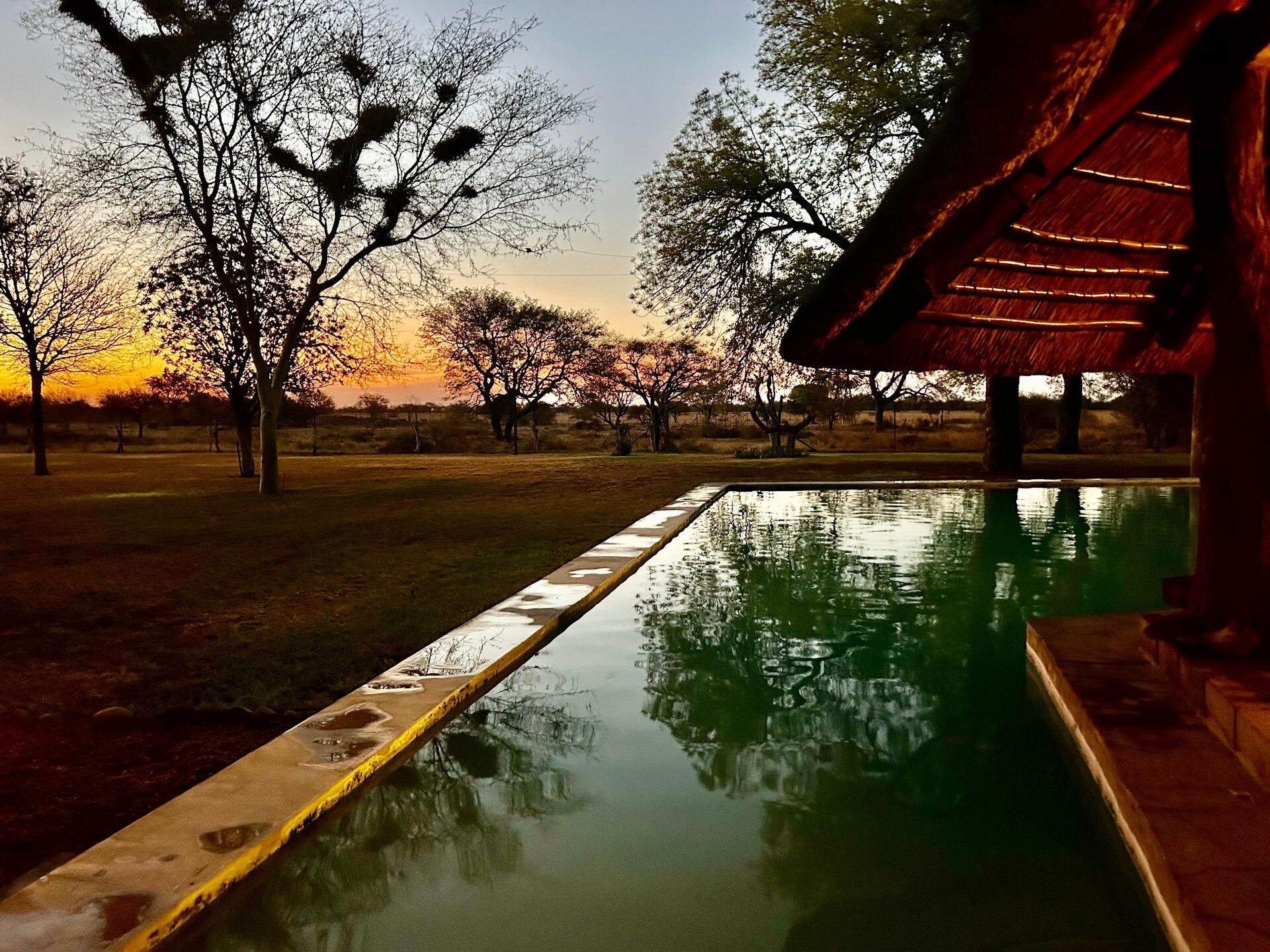 Marula Game reserve — wildlife and landscape