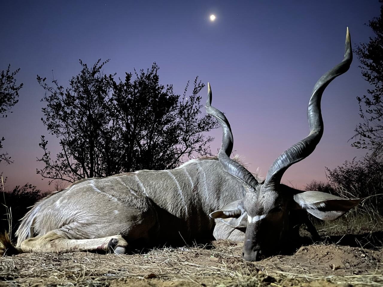 Marula Game reserve — wildlife and landscape