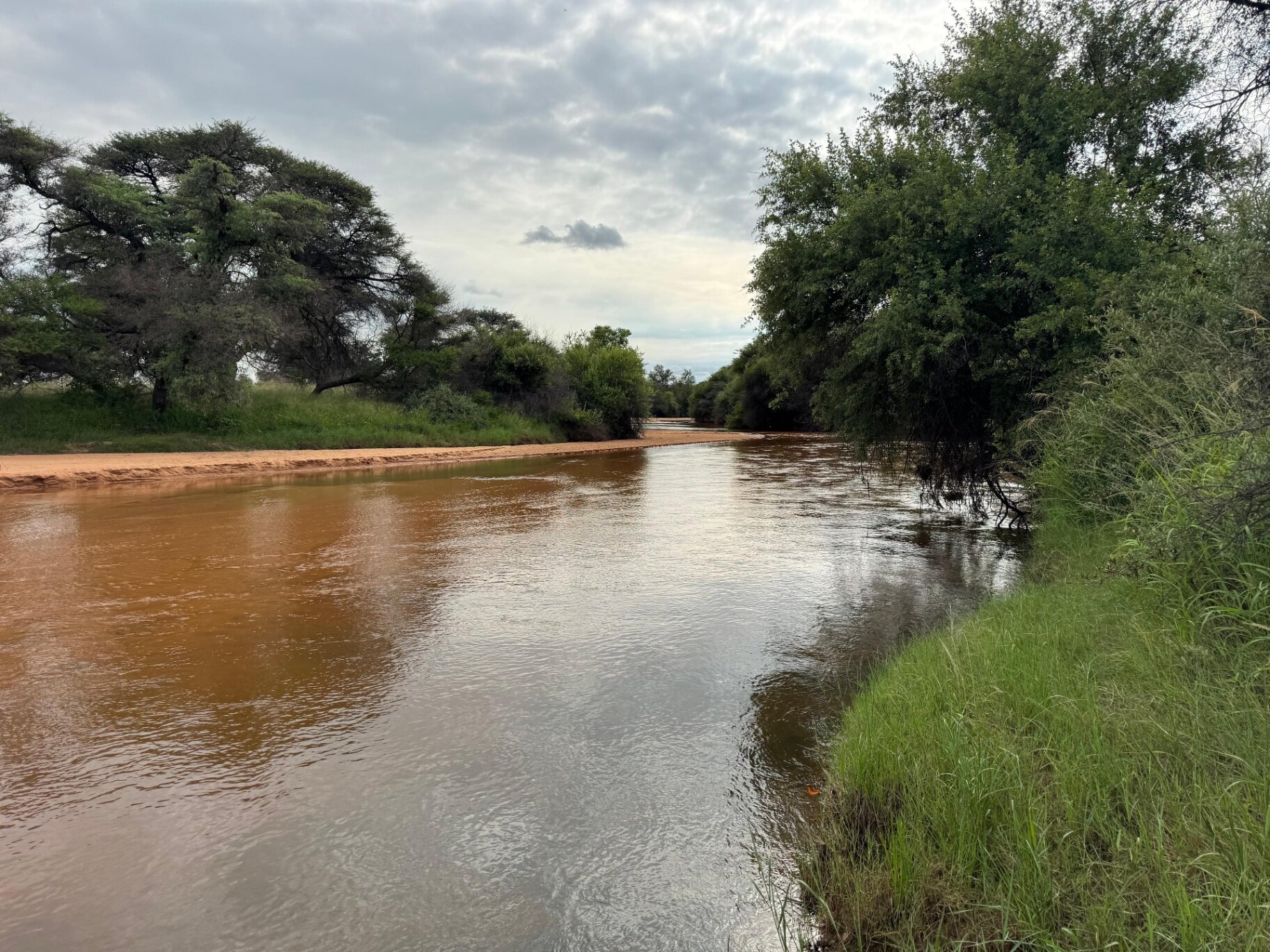 Marula Game reserve — wildlife and landscape
