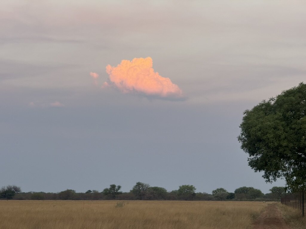 Marula Game reserve — wildlife and landscape