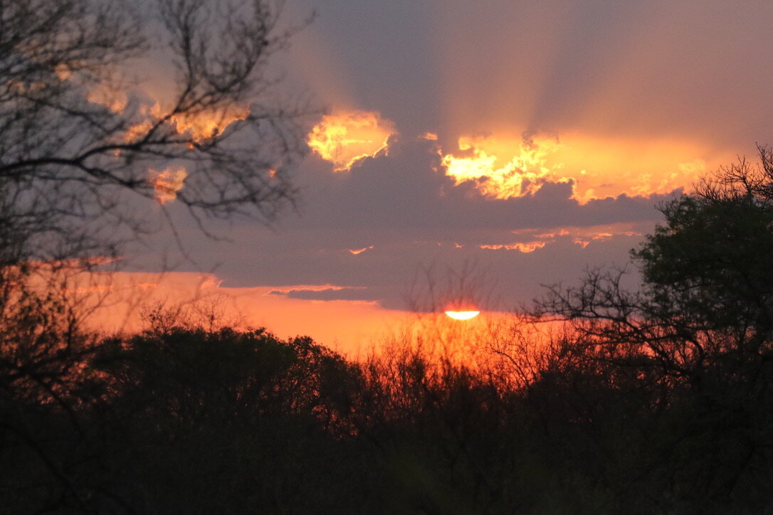 Marula Game reserve — wildlife and landscape
