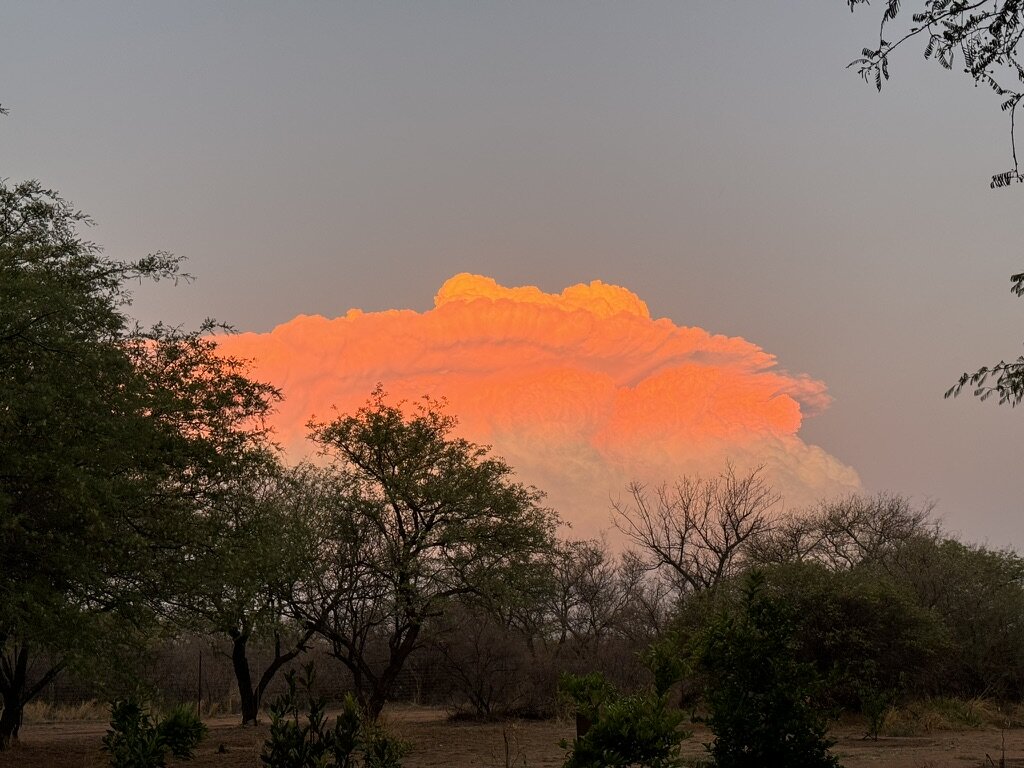 Marula Game reserve — wildlife and landscape