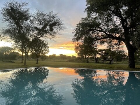 Marula Game reserve — wildlife and landscape