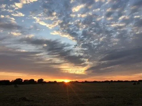 Marula Game reserve — wildlife and landscape
