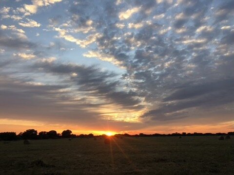 Marula Game reserve — wildlife and landscape